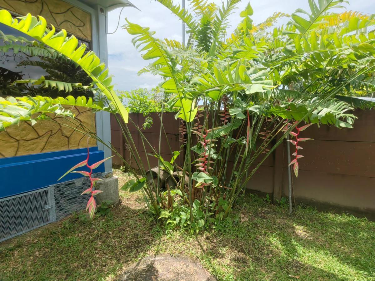 Arenal Homes La Fortuna Exteriör bild